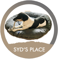 Syd's Place